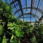 Billet coupe-file pour les Grandes Serres à Paris 5ème