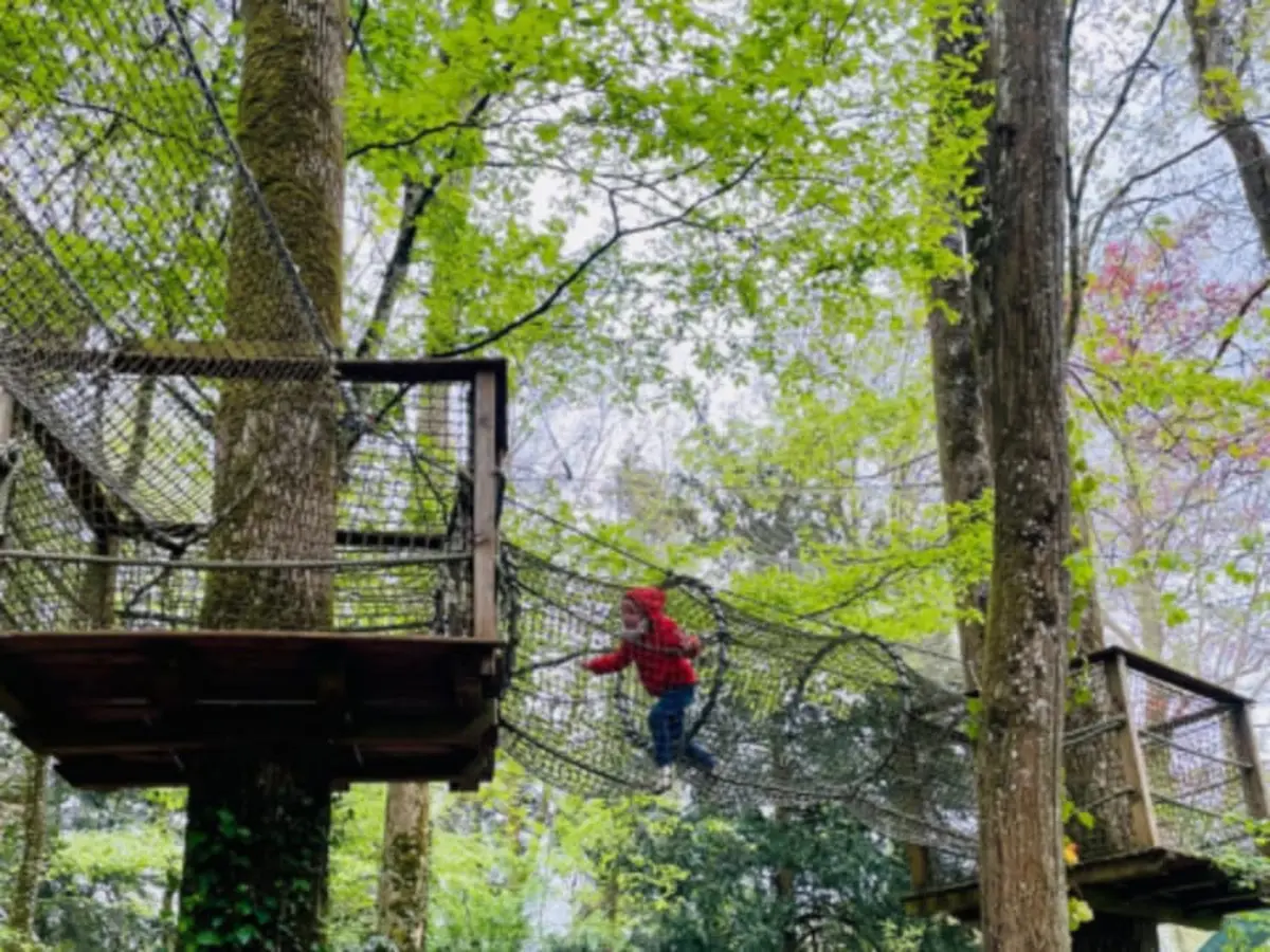 Billet d'entrée au Filo Parc à Longny les Villages (61)