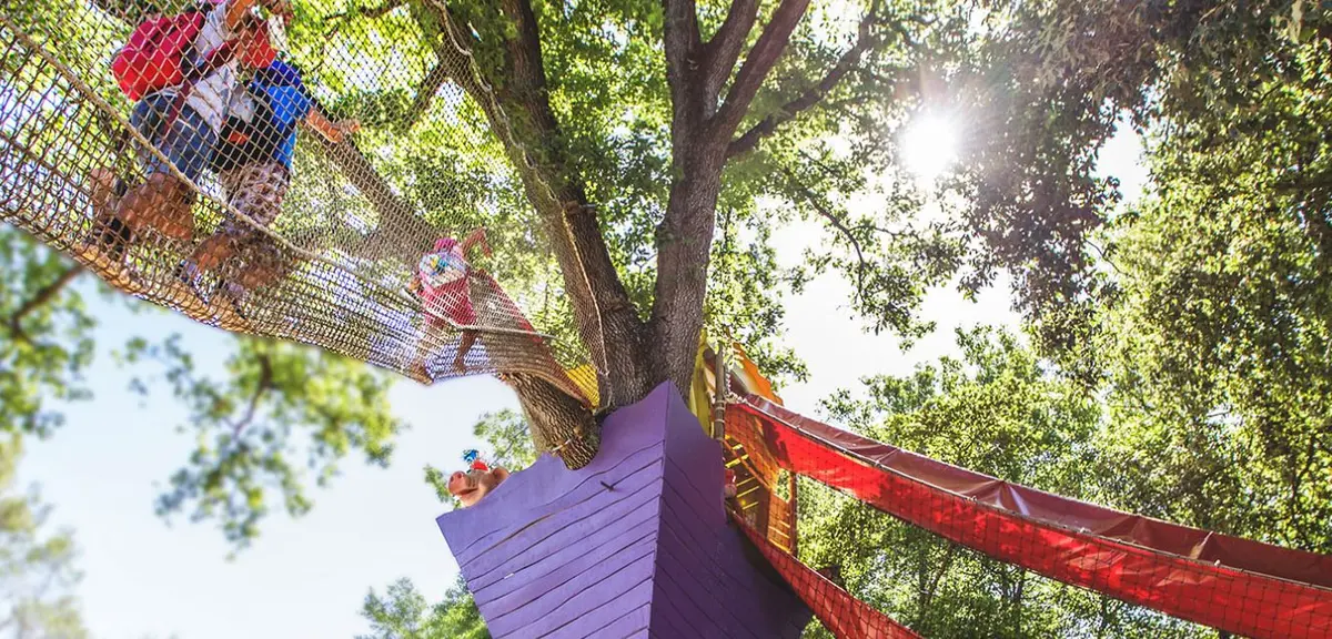 Billet d'entrée pour le Village des Fous (06)