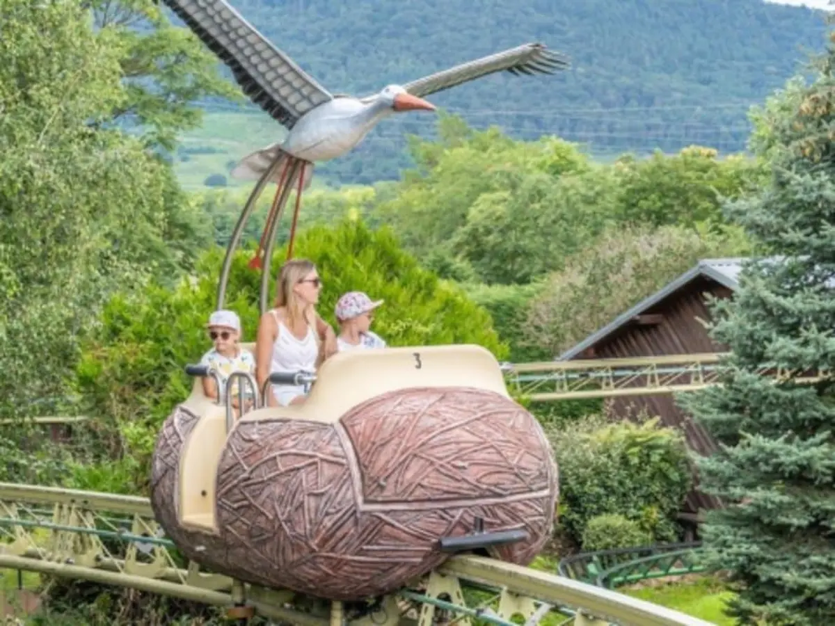 Billet pour Cigoland à Kintzheim (67)