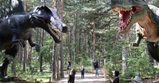 Billet pour Dinopedia Parc Mende en Loz&egrave;re (48)