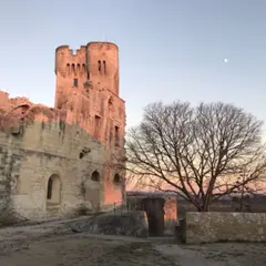 Billet pour l'Abbaye de Montmajour (13)