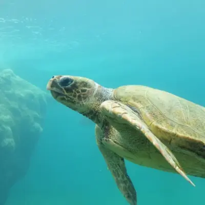 Limoges : nos 6 idées sorties du week-end