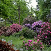 Billet pour l'Arboretum de Versailles-Chèvreloup (78)