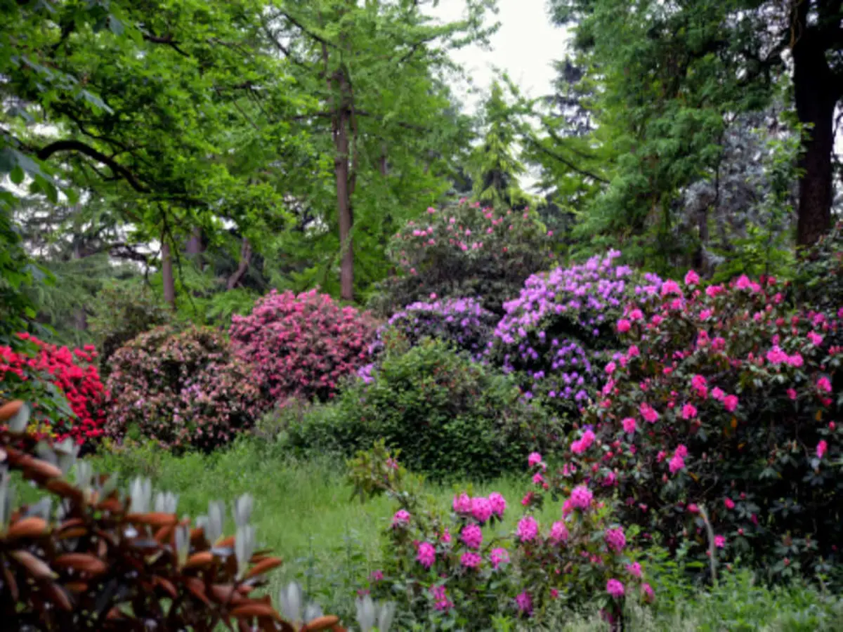 Billet pour l'Arboretum de Versailles-Chèvreloup (78)