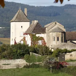 Quelles sorties à Mâcon du 7 au 9 août 2026 ? 6 idées pour un week-end réussi