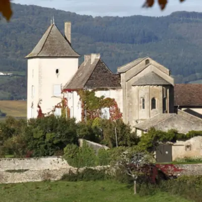 Mâcon : nos 6 idées sorties du week-end