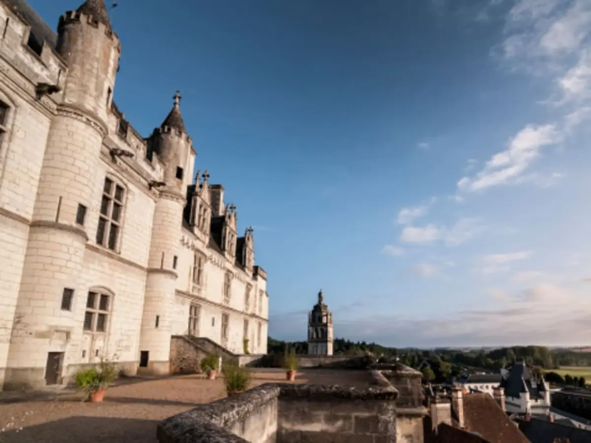 Billet pour la Cité royale de Loches (37)
