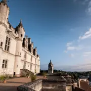 Billet pour la Cité royale de Loches (37)