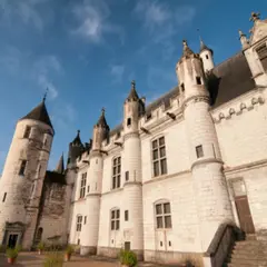 Billet pour la Cité royale de Loches (37)