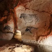 Billet pour la Grotte Cosquer Méditerranée à Marseille (13)