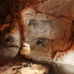 Billet pour la Grotte Cosquer Méditerranée à Marseille (13)