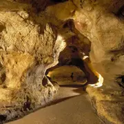 Billet pour la grotte de Pair-non-Pair à Prignac-et-Marcamps