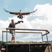 Billet pour la Volerie des Aigles à Kintzheim  (67)