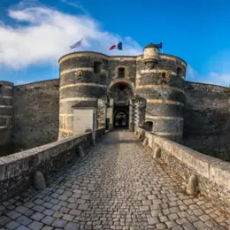Billet pour le Château d'Angers (49)