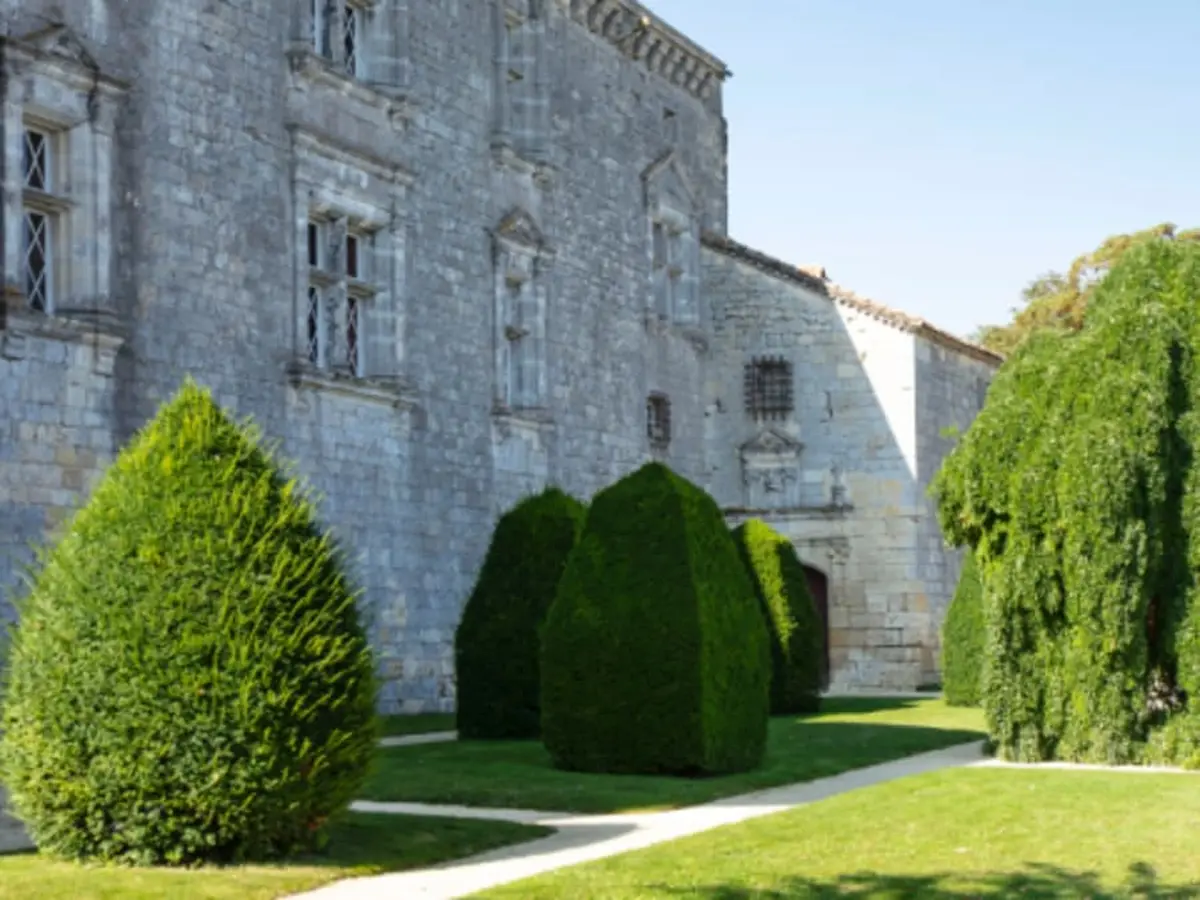 Billet pour le Château de Gramont (82)