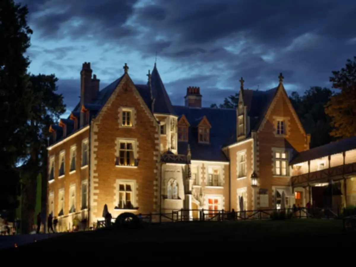 Billet pour le Château du Clos Lucé à Amboise (37)