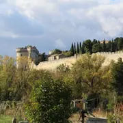 Billet pour le Fort Saint-André à Villeneuve-lez-Avignon (30)
