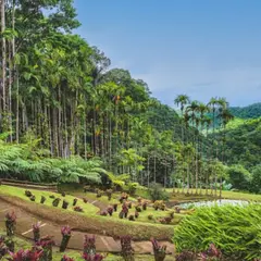 Billet pour le Jardin de Balata en Martinique