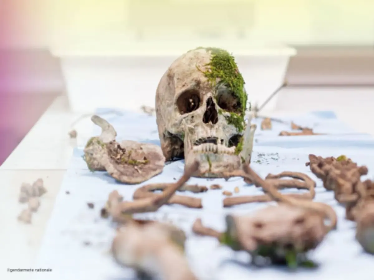 Billet pour le Musée de l'Homme à Paris 16ème