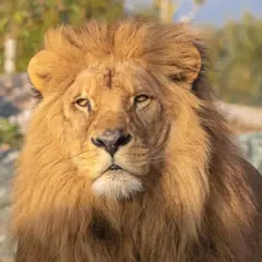 Billet pour le Natur'Zoo de Mervent (85)