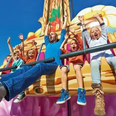 Billet pour le Papéa Parc  (72)