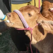 Billet pour le Parc animalier de Ginasservis (83)