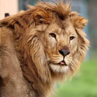 Visiter le Parc de l'Auxois