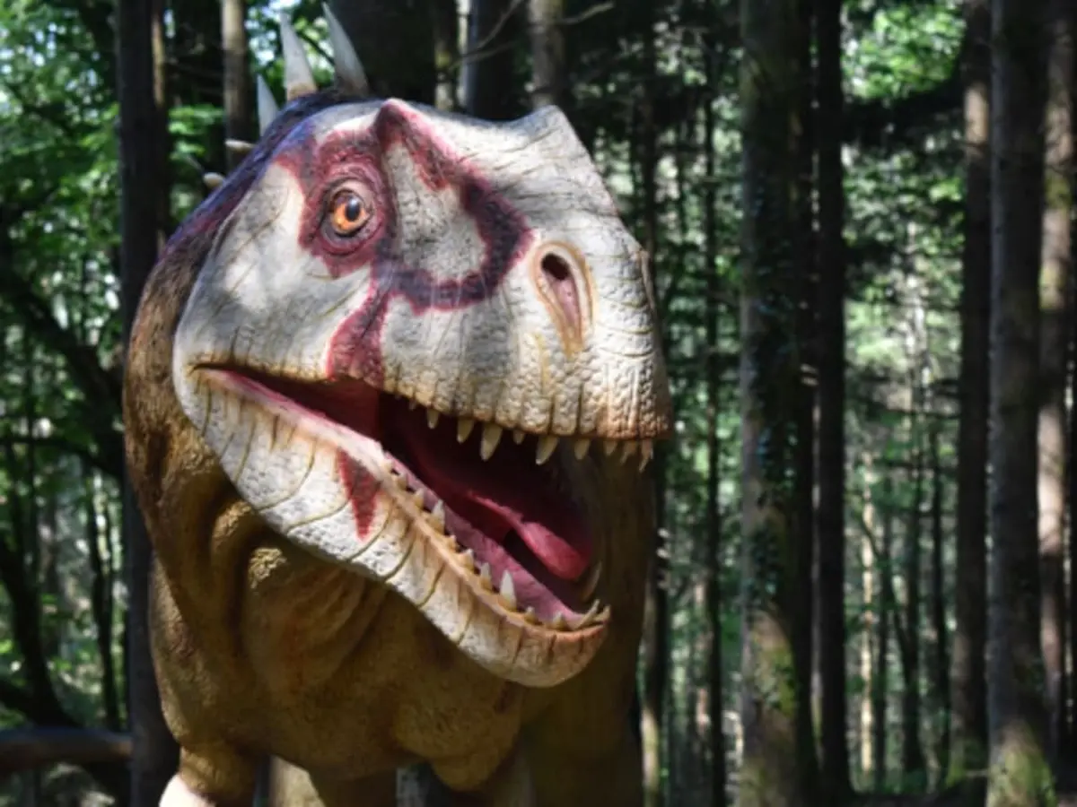 Billet pour le parc Dino-Zoo (25)