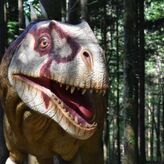 Billet pour le parc Dino-Zoo (25)