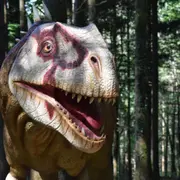 Billet pour le parc Dino-Zoo (25)