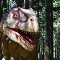 Billet pour le parc Dino-Zoo (25) DR
