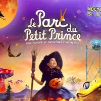 Billet pour le Parc du Petit Prince (68) DR