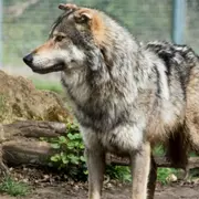 Billet pour le parc du Thot (24)