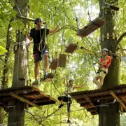 Billet pour le parc Fun Forest à Fontaine-le-Comte (86)