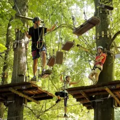 Billet pour le parc Fun Forest à Fontaine-le-Comte (86)
