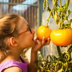 Billet pour le Potager Extraordinaire à La Roche-sur-Yon (85)