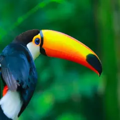 Billet pour le Zoo de Labenne (40)