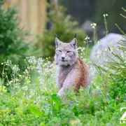 Sorties : que faire à Bayonne ce week-end ? (27-29 mars 2026)