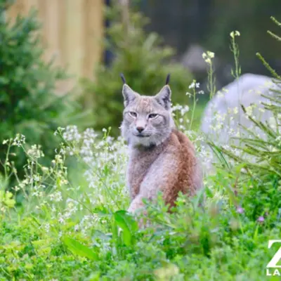 Bayonne : nos 6 idées sorties du week-end