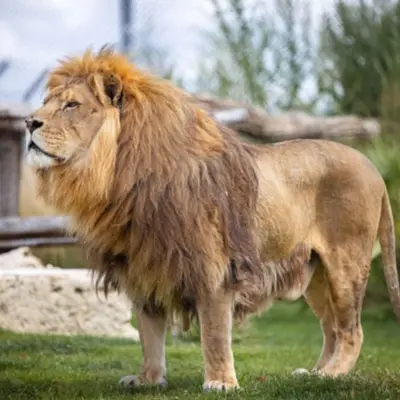 Chartres : nos 6 idées sorties du week-end