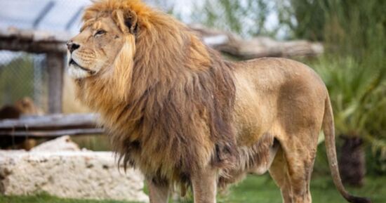 Chartres : 6 id&eacute;es sorties sympa pour ce week-end (6 au 8 mars 2026)