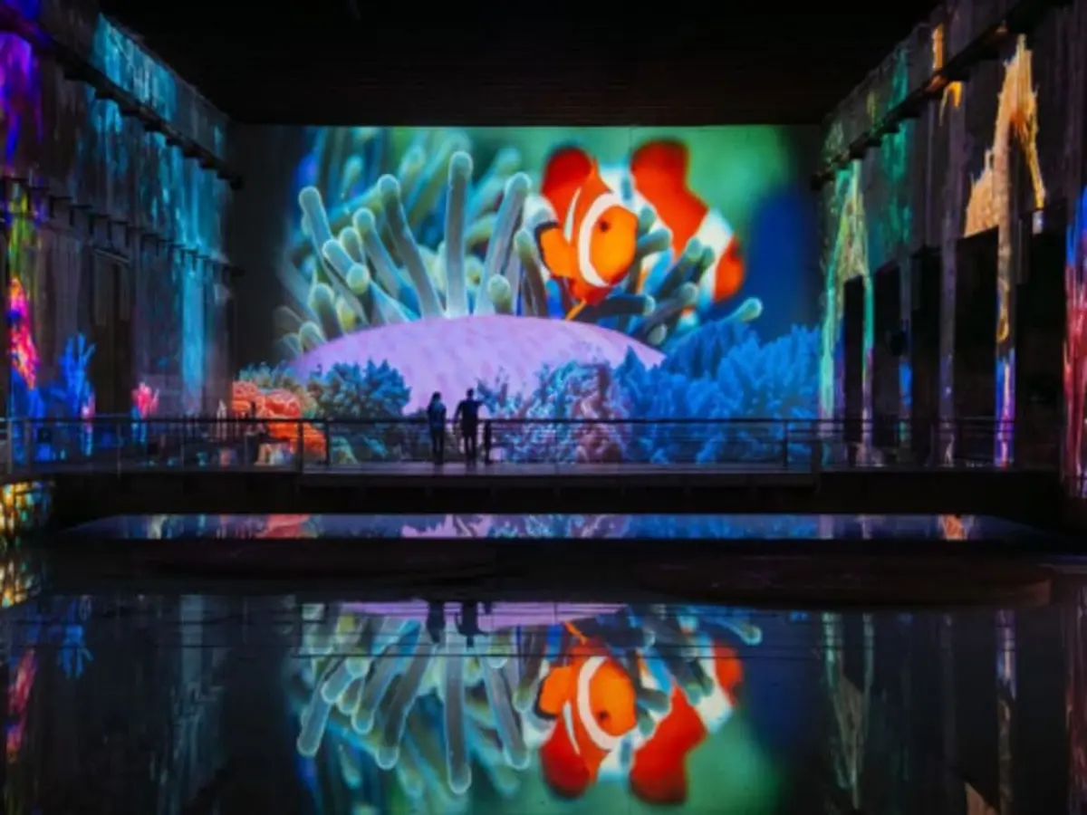 Billet pour les Bassins des Lumières à Bordeaux (33)