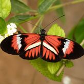 Billet pour Micropolis - Cit&eacute; des insectes pr&egrave;s de Millau (12)