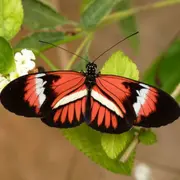 Billet pour Micropolis - Cité des insectes près de Millau (12)