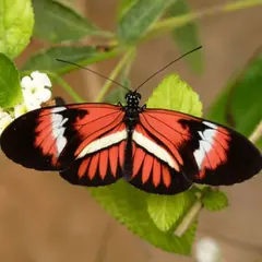 Billet pour Micropolis - Cité des insectes près de Millau (12)