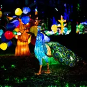 Billet pour Thoiry ZooSafari et Lumières Sauvages (78)