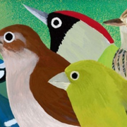 Biodiversité en bibliothèque : Birdie Memory