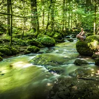 Biohacking et longévité pour le corps, l'esprit et l'âme : Plongez dans la nouvelle ère du bien-être en Forêt-Noire &copy; Tourismus Gmbh Nördlicher Schwarzwald / Alex Kijak