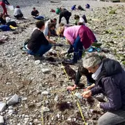 BIOLIT - Alamer aux Deux-Jumeaux